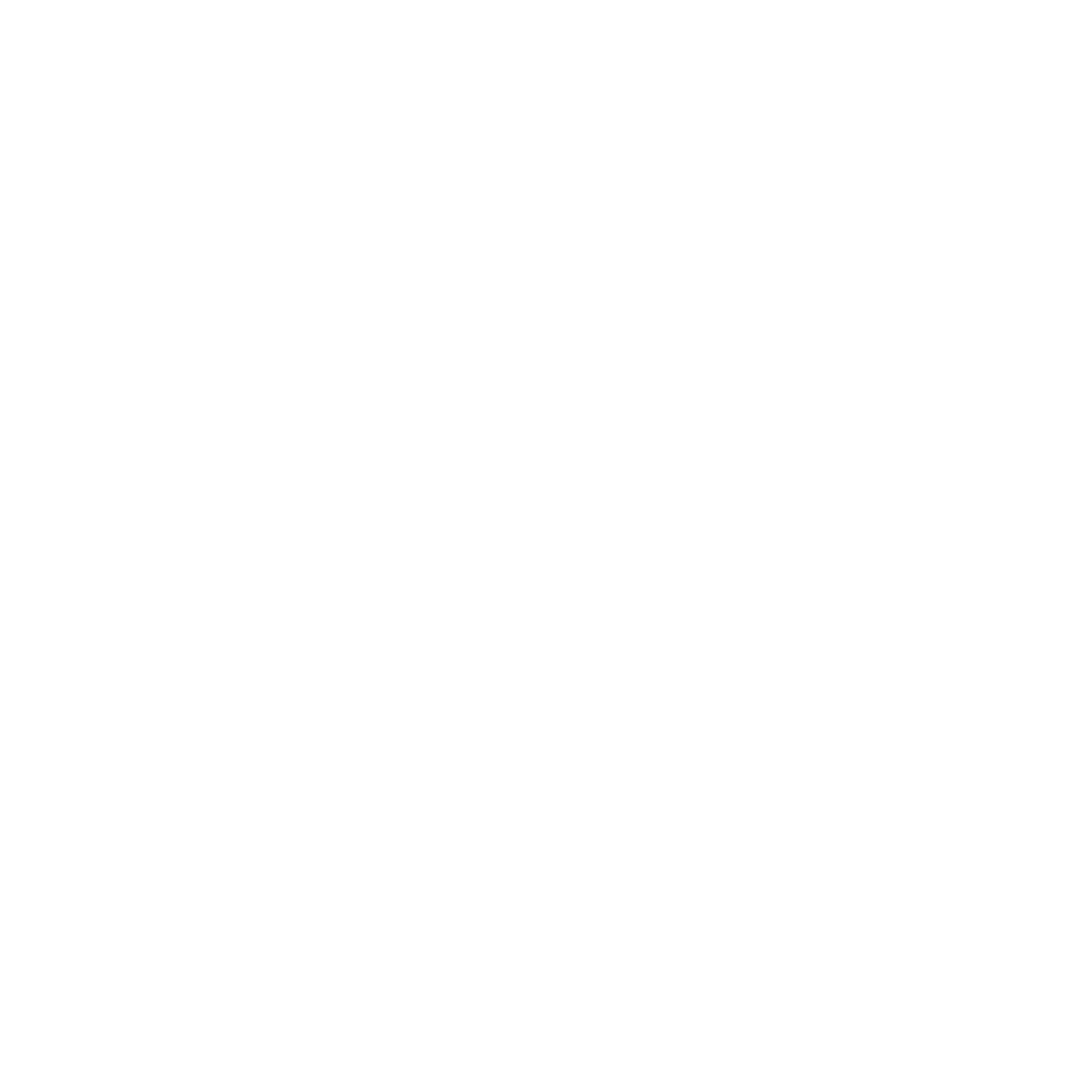 Digital Navigators