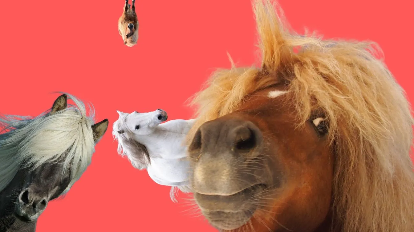 django-pony-express