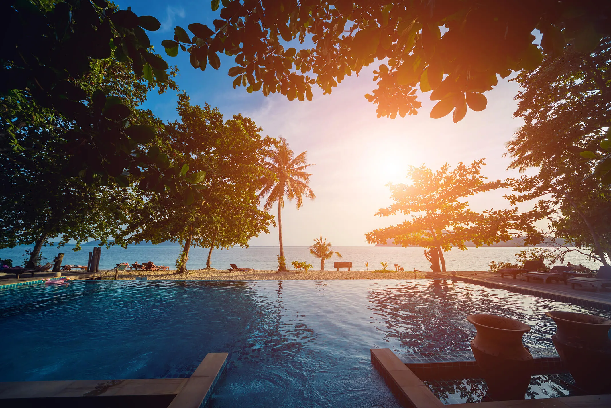 swimming-pool-exotic-tropical-resort-exotic-garden (1).jpg