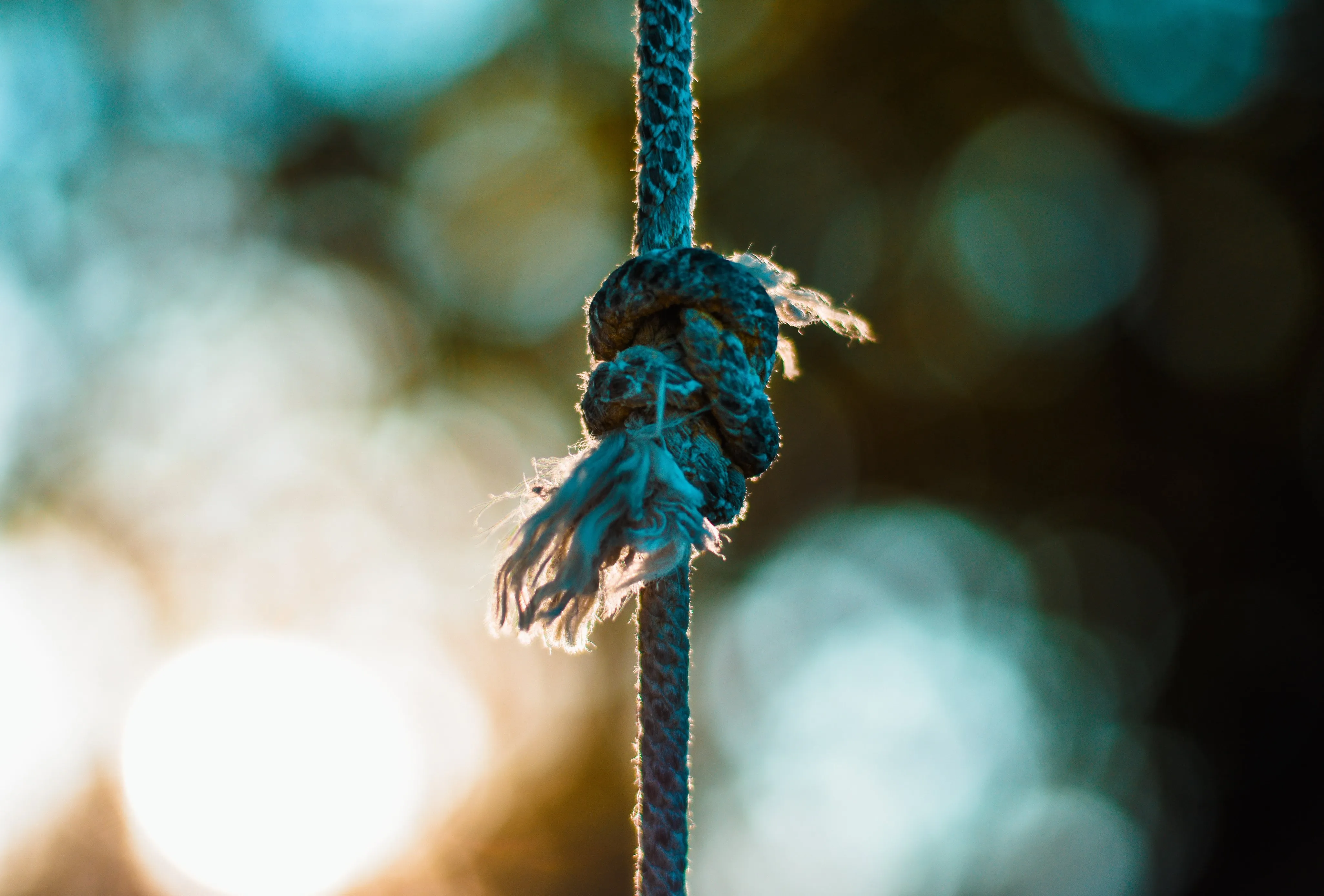 knoten-seil